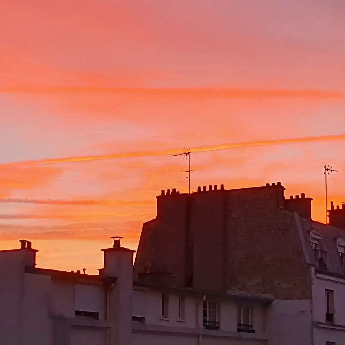 Vision from my windows at sunrise. Part2
.
.
.
#photography #sunrise #doplife #director #réalisateur #paris #rose #sky
